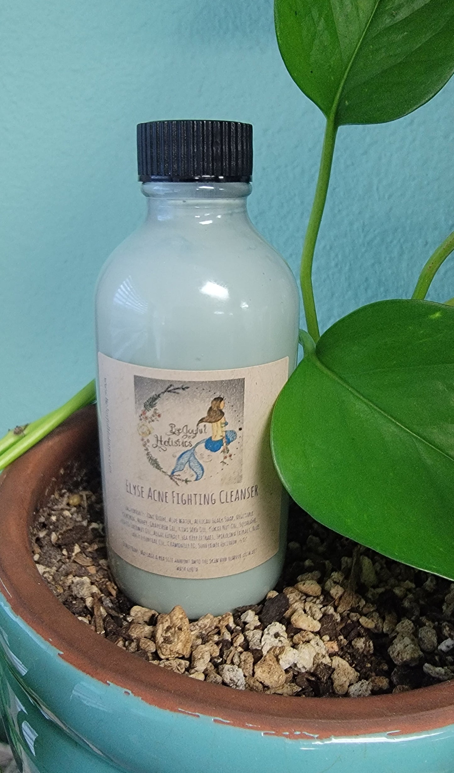 Elyse Acne Fighting Cleanser